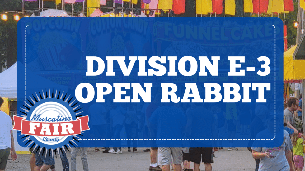 Division E-3 Open Rabbit