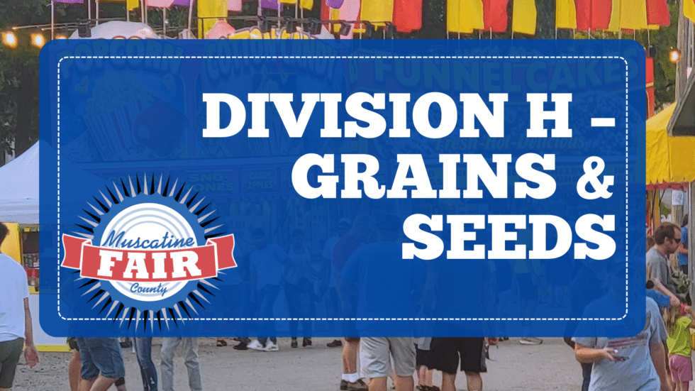 Division H – Grains & Seeds