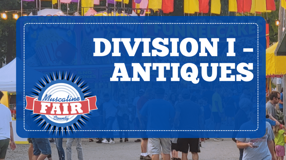 Division I – Antiques