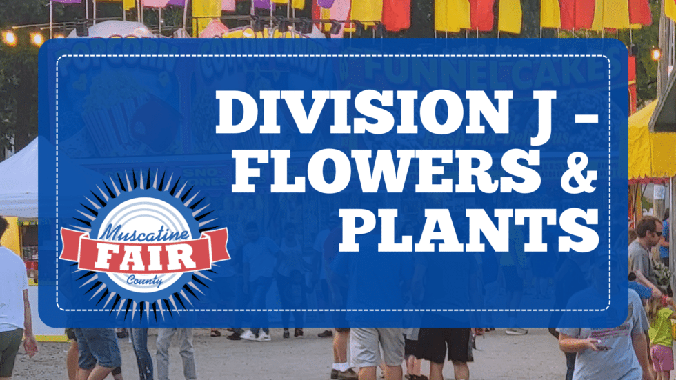 Division J – Flowers & Plants