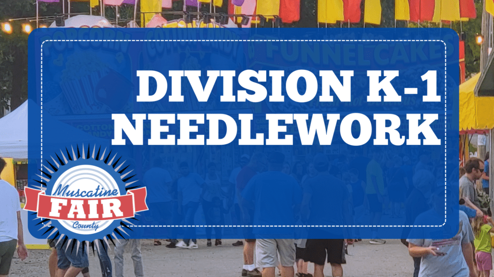 Division K-1 Needlework
