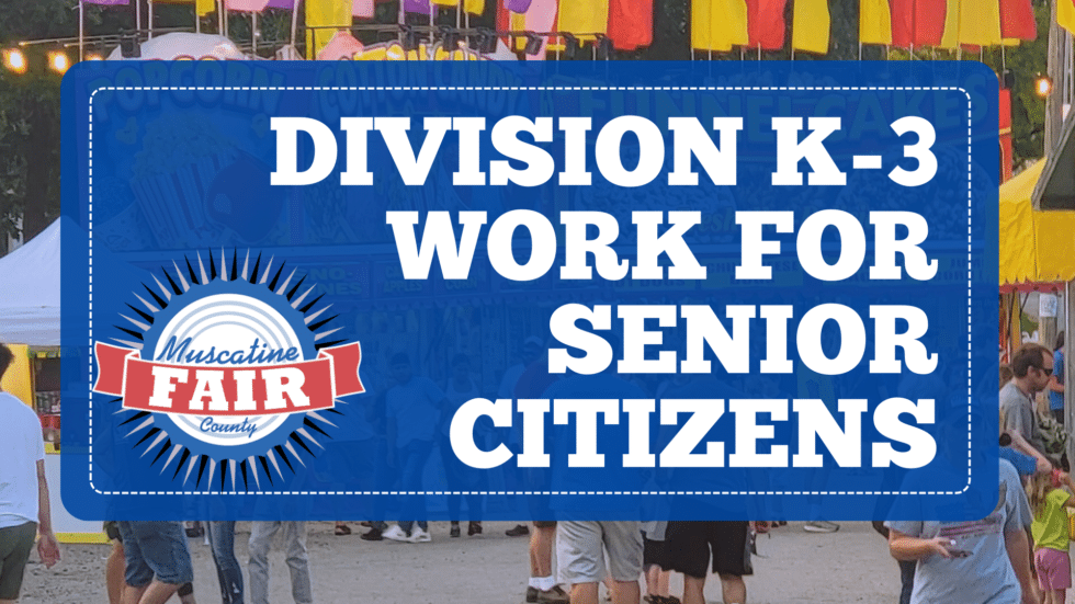 Division K-3 Work for Senior Citizens