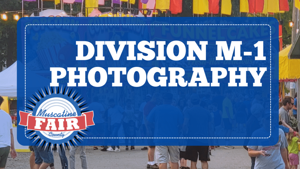 Division M-1 Photography