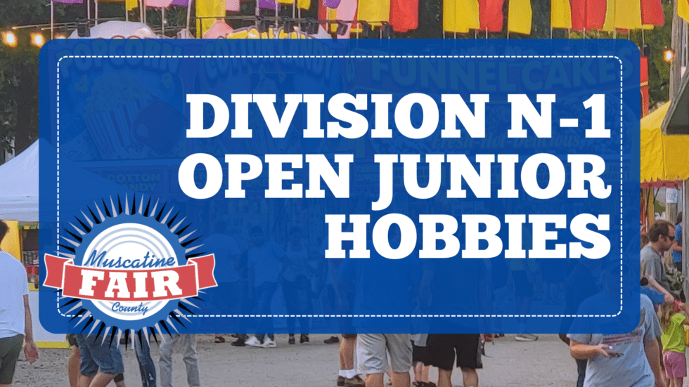 Division N-1 Open Junior Hobbies