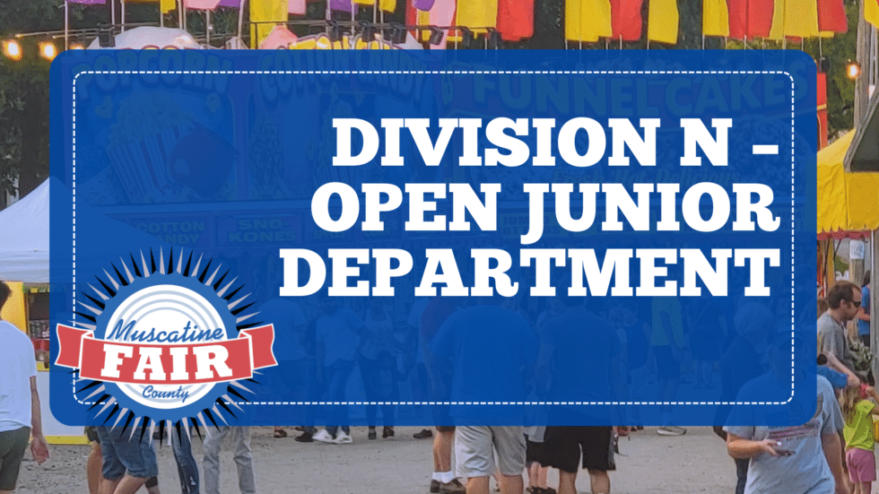 Division N – Open Junior Department