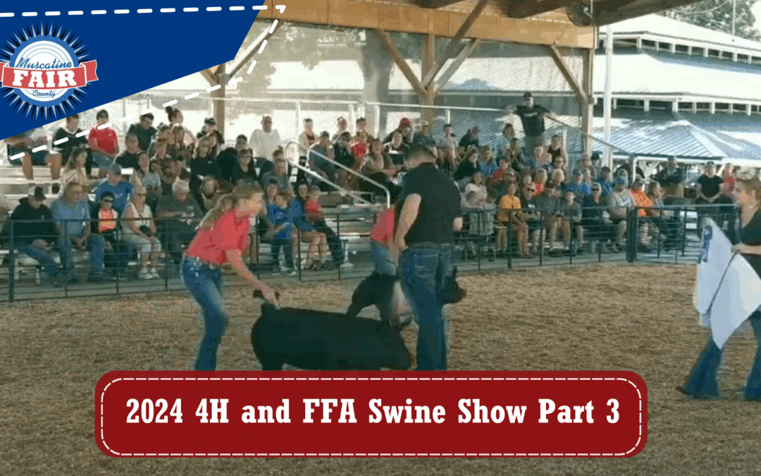 2024 4H and FFA Swine Show Part 3