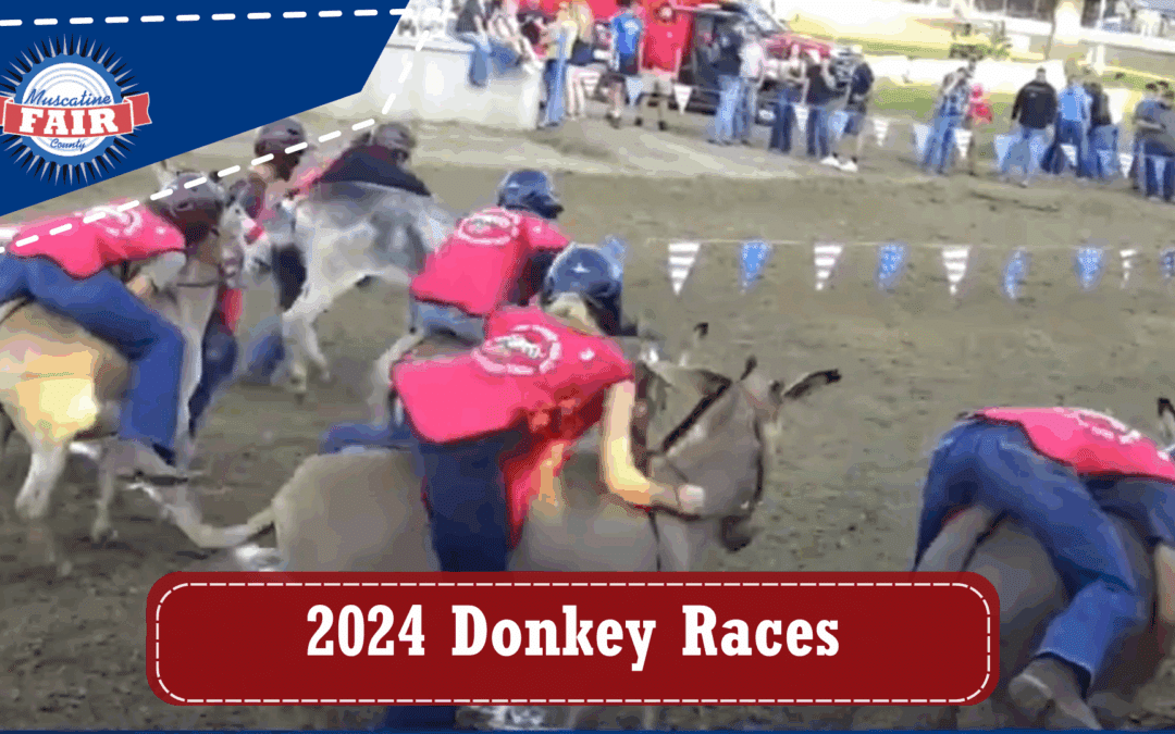 2024 Donkey Races